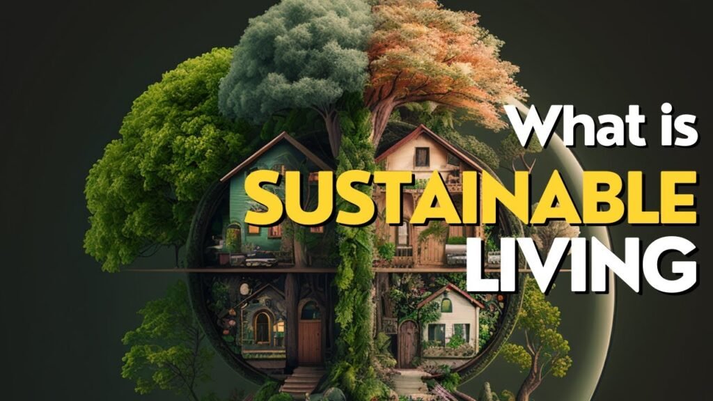 Sustainable Living: Easy Eco-Friendly Changes You Can Make Today